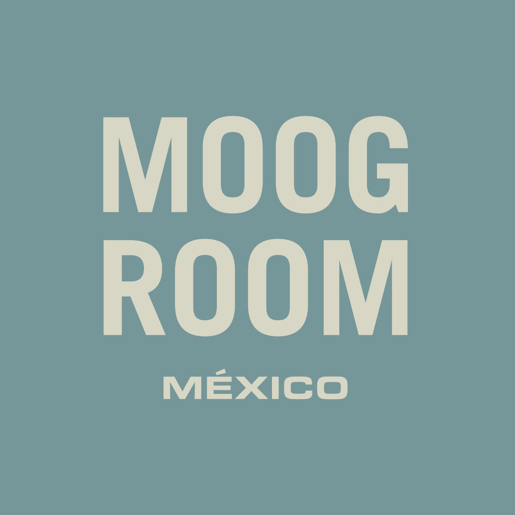 Adéntrate al universo de Moog a través de nuestro nuevo canal