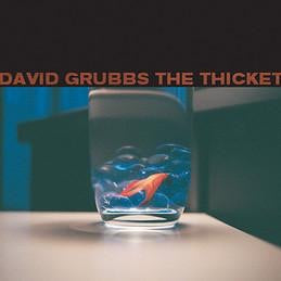 David Grubbs - The Ticket